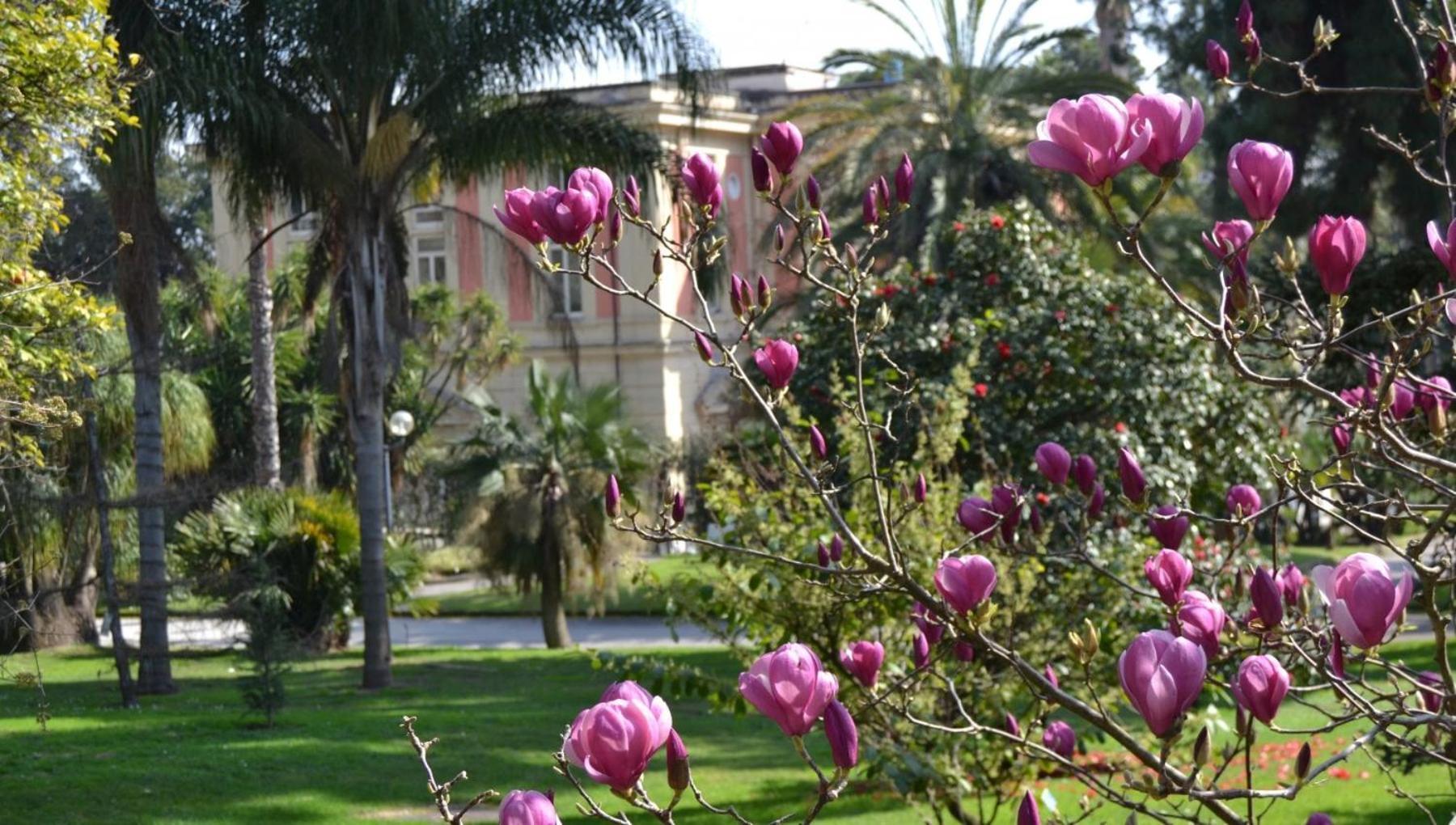 Casina Via Foria Bed & Breakfast Naples Exterior photo